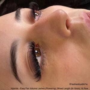 Hybrid - Easy Fan Volume (Flowering) Lash Extensions, 16 row mixed trays in 8 to 15mm thickness. C and D curls